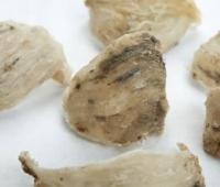 Tổ yến thô tròn(Bạch nguyên yến thượng hạng)
