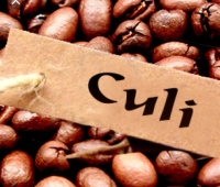 Cà phê hạt Culi Robusta