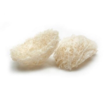 Yến tổ tinh chế đặc biệt ( Bạch thanh yến thượng hạng)