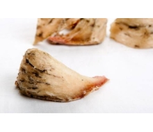 Tổ yến vàng thô(Nguyên yến Phương Nam)