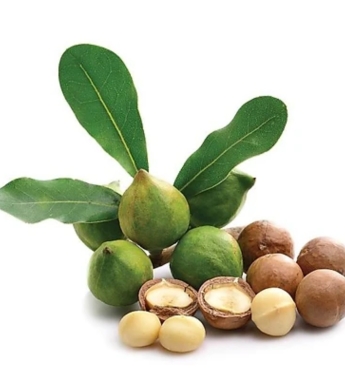 Các loại hạt 