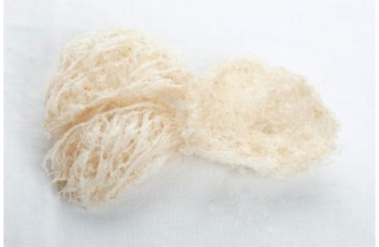 Tổ yến đảo tinh chế( Thanh yến đảo)