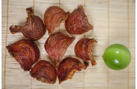 Phi Hoàng Yến Cao Cấp