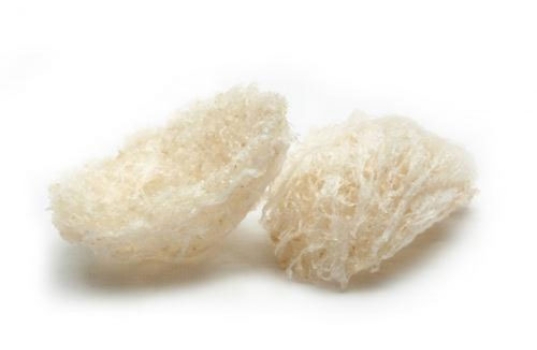 Yến tổ tinh chế đặc biệt ( Bạch thanh yến thượng hạng)