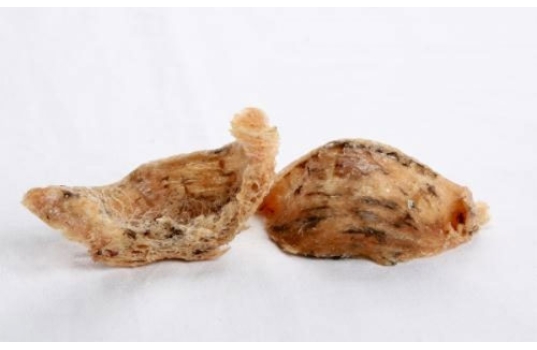 Tổ yến thô hồng (Nguyên yến Phương Nam)