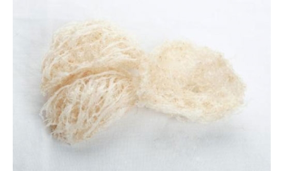 Tổ yến đảo tinh chế( Thanh yến đảo)