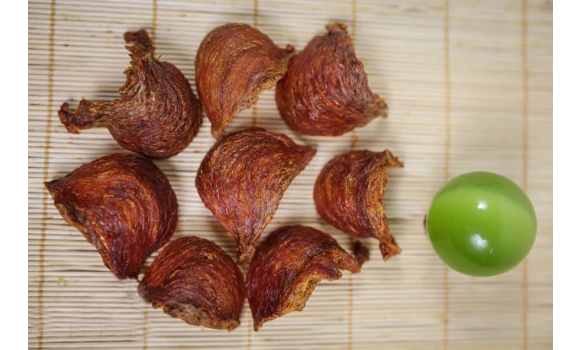 Phi Hoàng Yến Cao Cấp