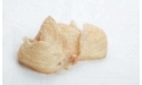 Tổ yến vàng tinh chế (Thanh yến Phương Nam) 