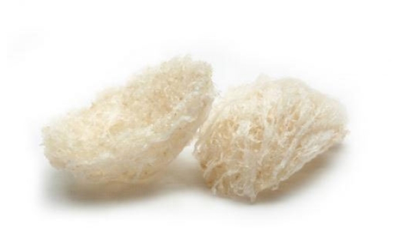 Yến tổ tinh chế đặc biệt ( Bạch thanh yến thượng hạng)
