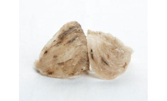 Tổ yến thô vuông (Bạch nguyên yến)