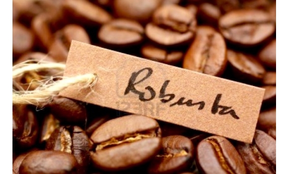 Cà phê Robusta